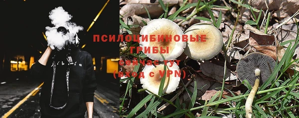 молекула духа Беломорск