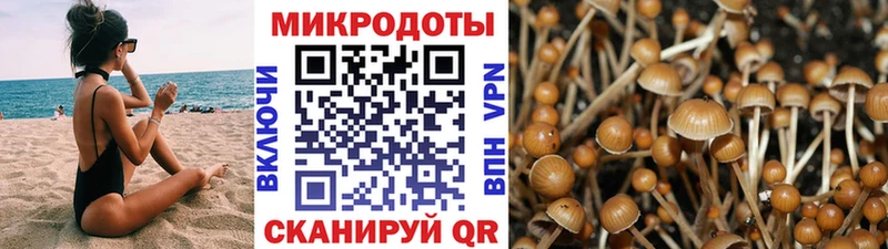 купить  сайты  Бутурлиновка  Псилоцибиновые грибы Cubensis 