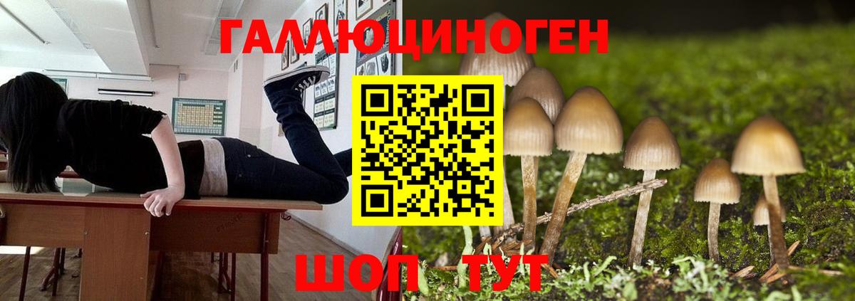 Псилоцибиновые грибы мицелий  Псилоцибиновые грибы Magic Shrooms  Вход с VPN  что такое   Бутурлиновка 