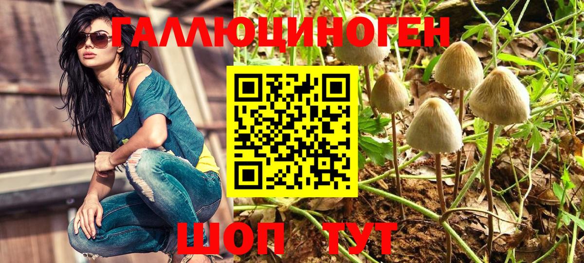 Галлюциногенные грибы прущие грибы Бутурлиновка